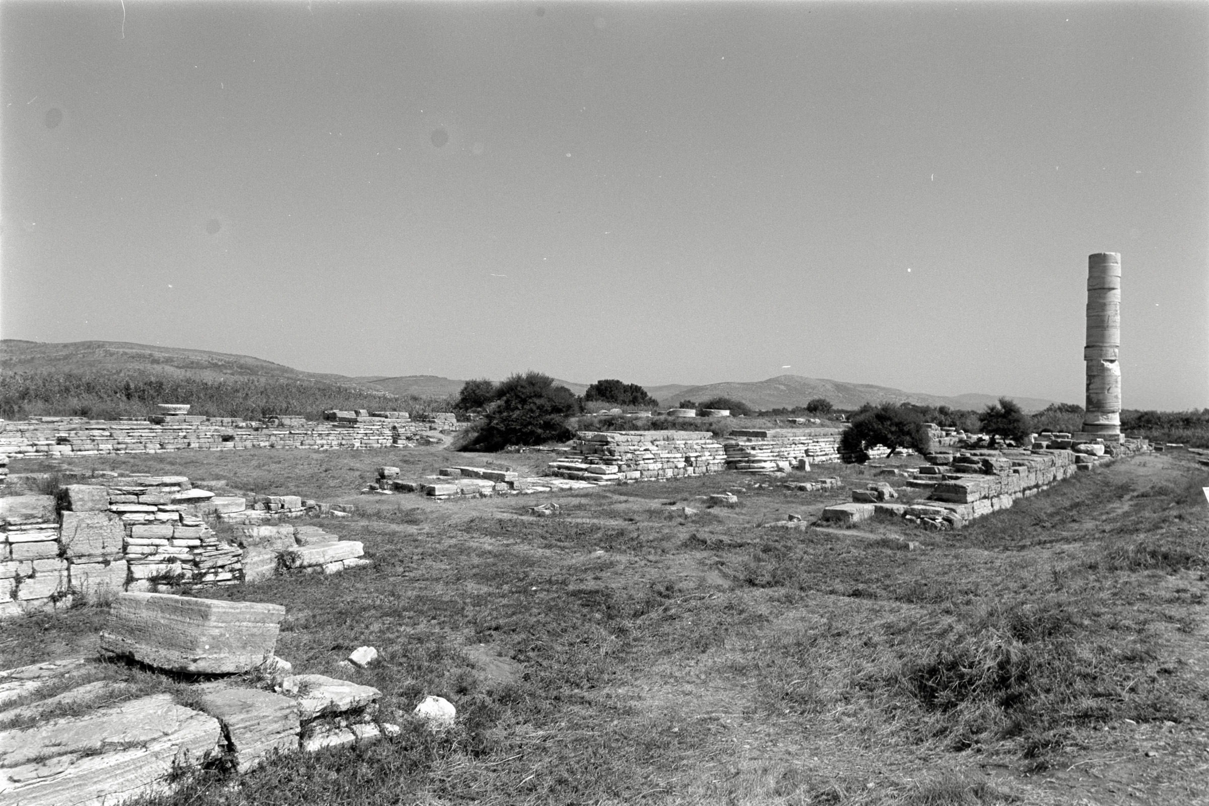 AHP F1991 09 003 sc240914 img02 NLP